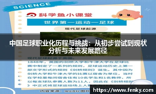 中国足球职业化历程与挑战：从初步尝试到现状分析与未来发展路径