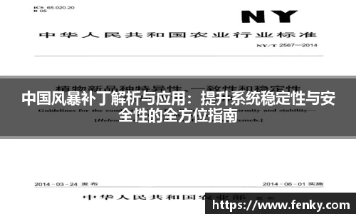 中国风暴补丁解析与应用：提升系统稳定性与安全性的全方位指南