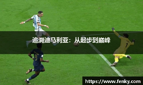 追溯迪马利亚：从起步到巅峰